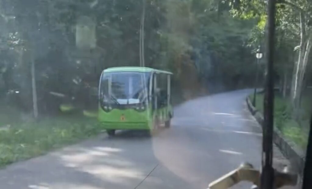 ミーソン遺跡 カート